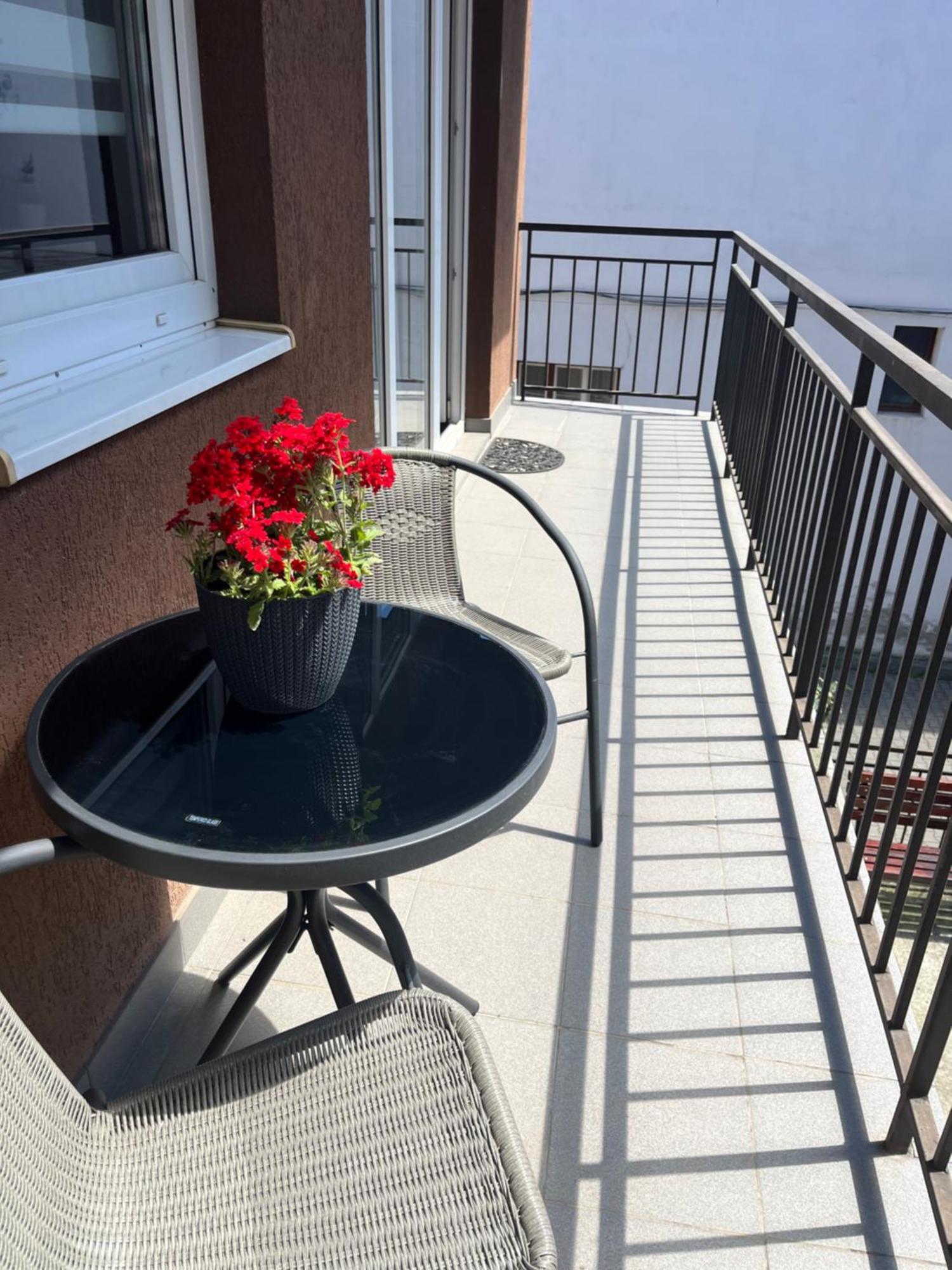 Central Cosy Apartment كلوج-نابوكا المظهر الخارجي الصورة