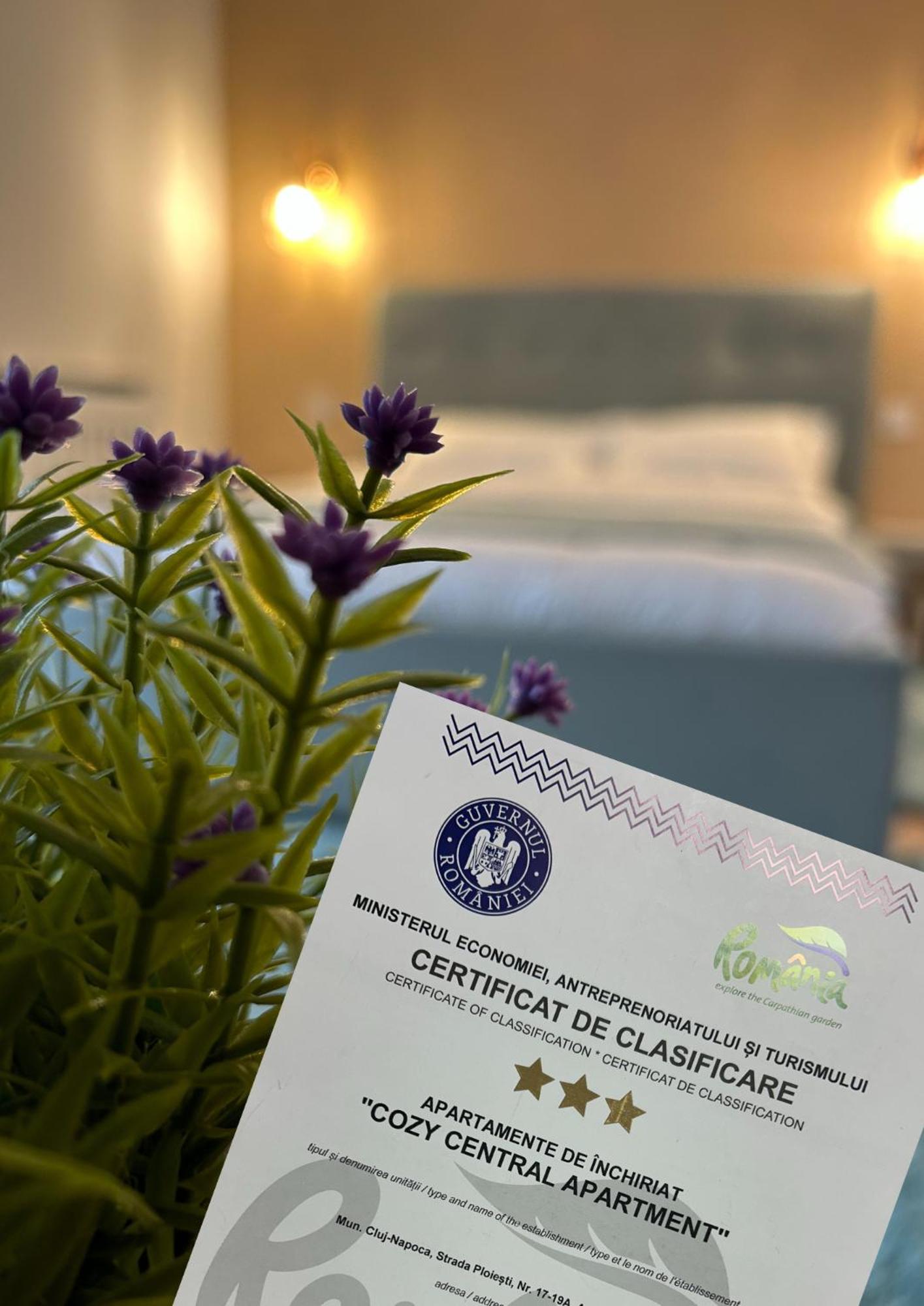 Central Cosy Apartment كلوج-نابوكا المظهر الخارجي الصورة